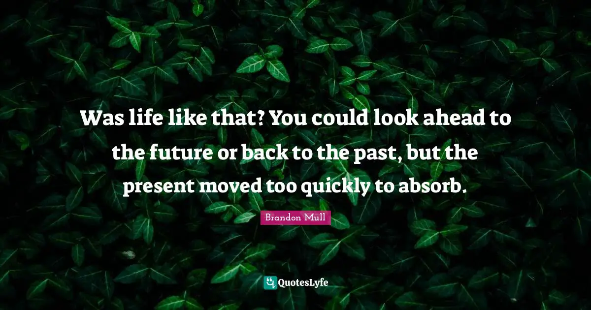 Was life like that? You could look ahead to the future or back to the past, but the present moved too quickly to absorb.