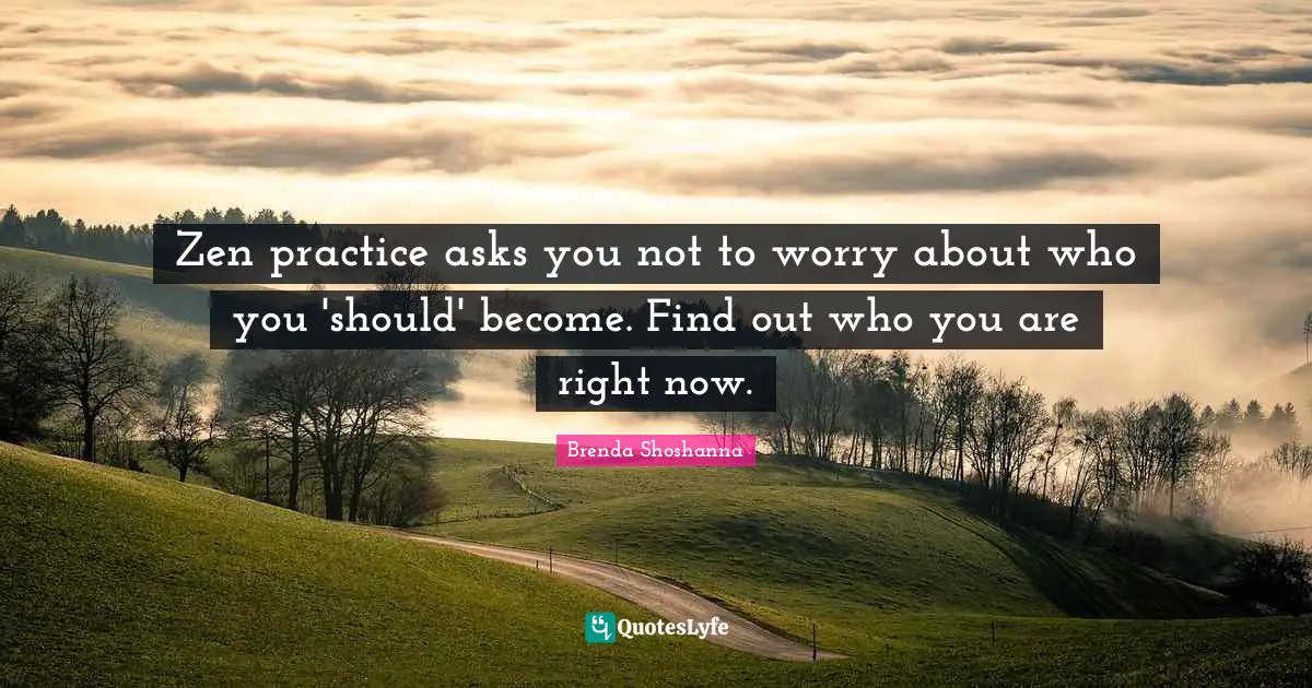 Zen practice asks you not to worry about who you 'should' become. Find out who you are right now.