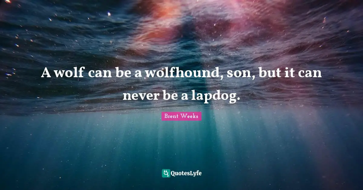 A wolf can be a wolfhound, son, but it can never be a lapdog.
