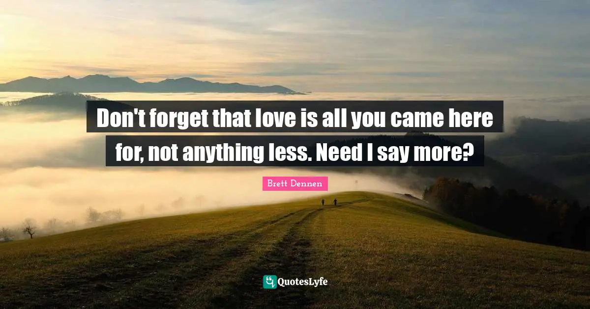 Brett Dennen Quotes: "Don't forget that love is all you came here for, not anything less. Need I say more?"