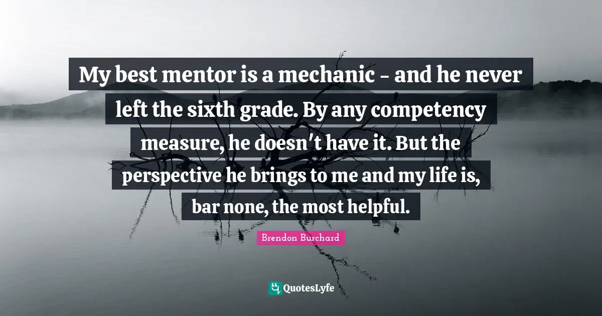 My best mentor is a mechanic - and he never left the sixth grade. By any competency measure, he doesn't have it. But the perspective he brings to me and my life is, bar none, the most helpful.