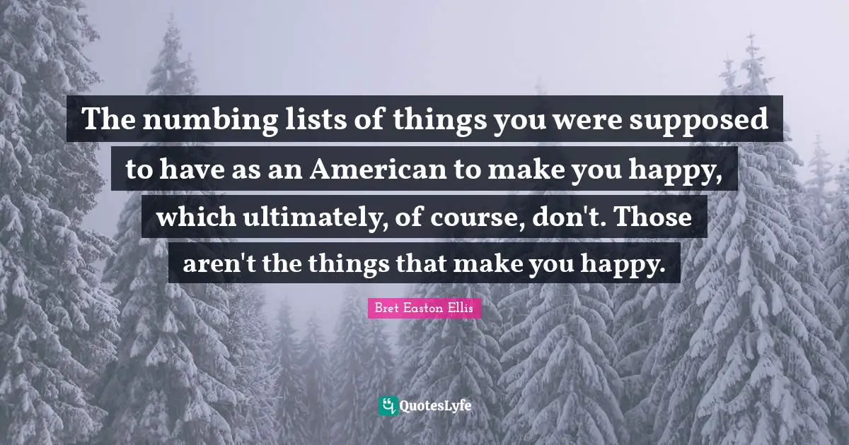 The numbing lists of things you were supposed to have as an American to make you happy, which ultimately, of course, don't. Those aren't the things that make you happy.