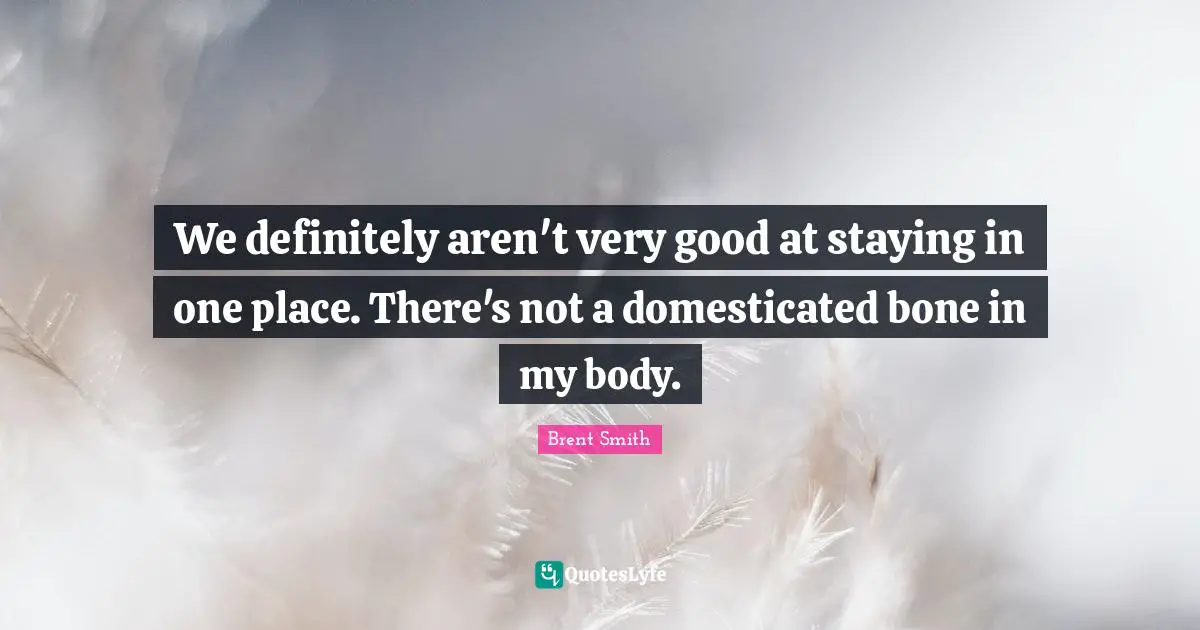 Brent Smith Quotes: "We definitely aren't very good at staying in one place. There's not a domesticated bone in my body."