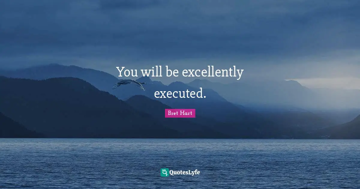 You will be excellently executed.