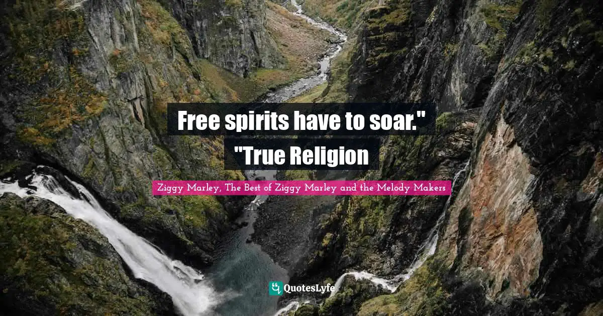 Free spirits have to soar." "True Religion