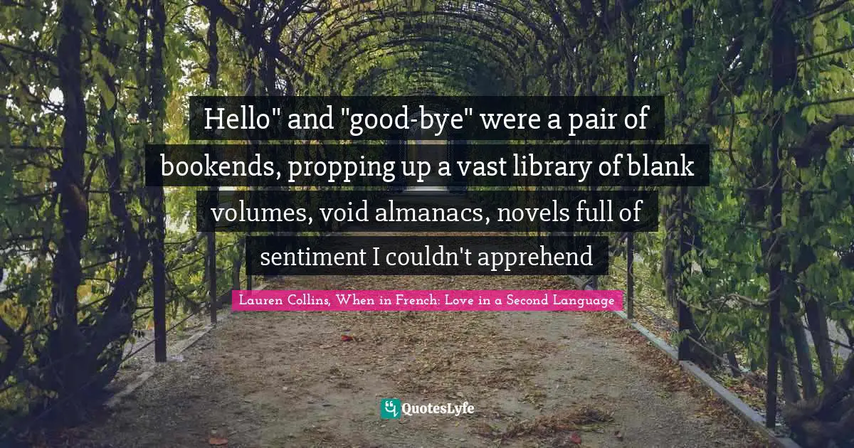 Hello" and "good-bye" were a pair of bookends, propping up a vast library of blank volumes, void almanacs, novels full of sentiment I couldn't apprehend