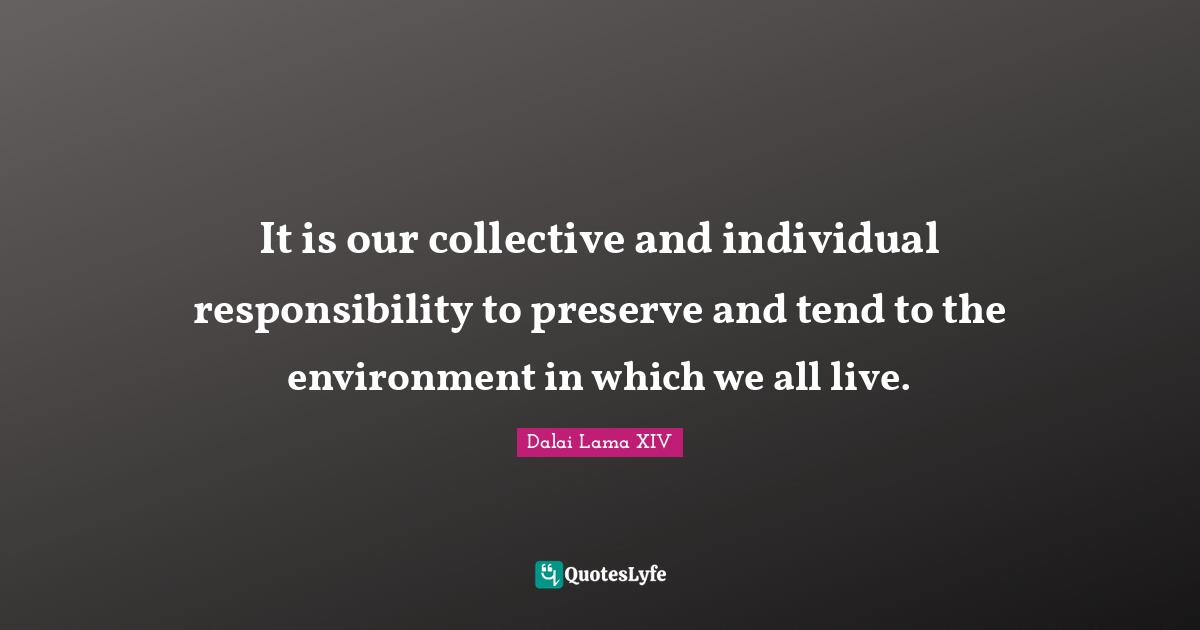 Spirituality Quotes: "It is our collective and individual responsibility to preserve and tend to the environment in which we all live."