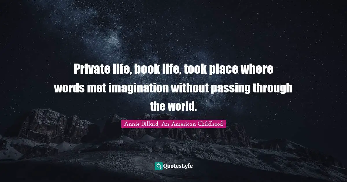 Private life, book life, took place where words met imagination without passing through the world.