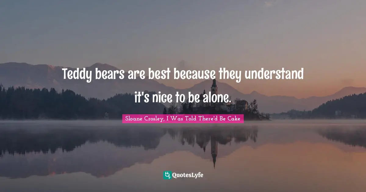 Teddy bears are best because they understand it's nice to be alone.