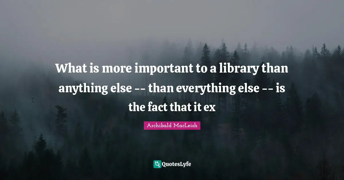 What is more important to a library than anything else -- than everything else -- is the fact that it ex