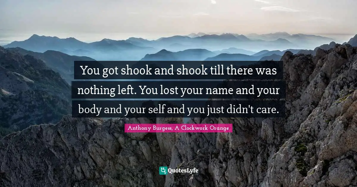 You got shook and shook till there was nothing left. You lost your name and your body and your self and you just didn't care.