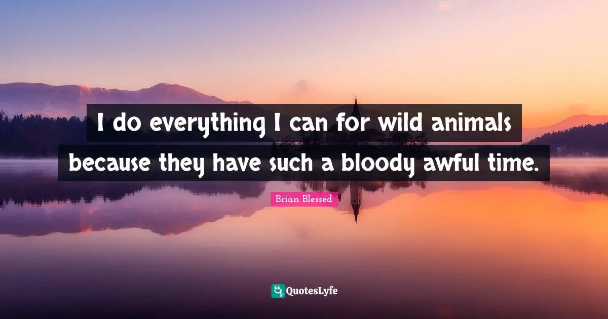 Brian Blessed Quotes: "I do everything I can for wild animals because they have such a bloody awful time."