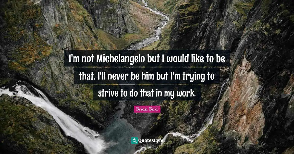 I'm not Michelangelo but I would like to be that. I'll never be him but I'm trying to strive to do that in my work.