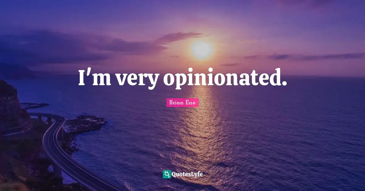 I'm very opinionated.