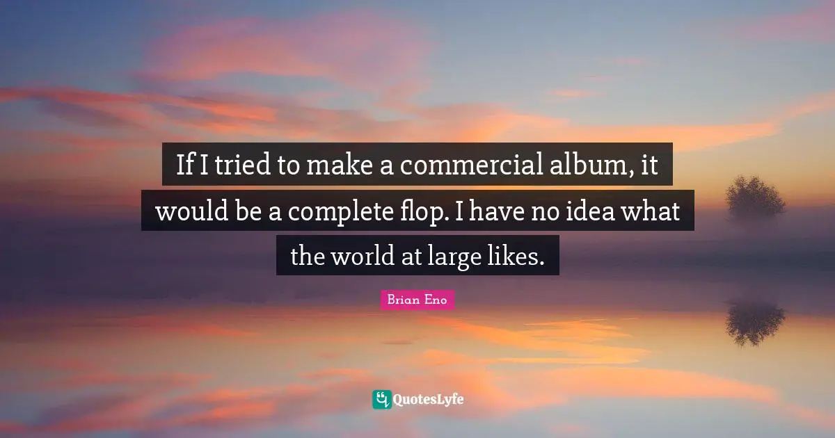 If I tried to make a commercial album, it would be a complete flop. I have no idea what the world at large likes.