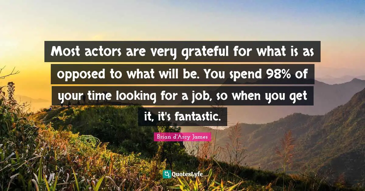 Most actors are very grateful for what is as opposed to what will be. You spend 98% of your time looking for a job, so when you get it, it's fantastic.