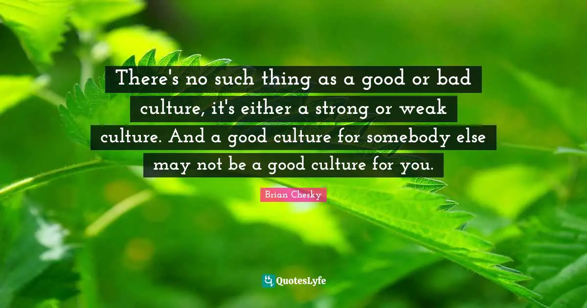 Brian Chesky Quotes: "There's no such thing as a good or bad culture, it's either a strong or weak culture. And a good culture for somebody else may not be a good culture for you."
