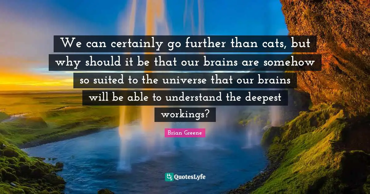 We can certainly go further than cats, but why should it be that our brains are somehow so suited to the universe that our brains will be able to understand the deepest workings?