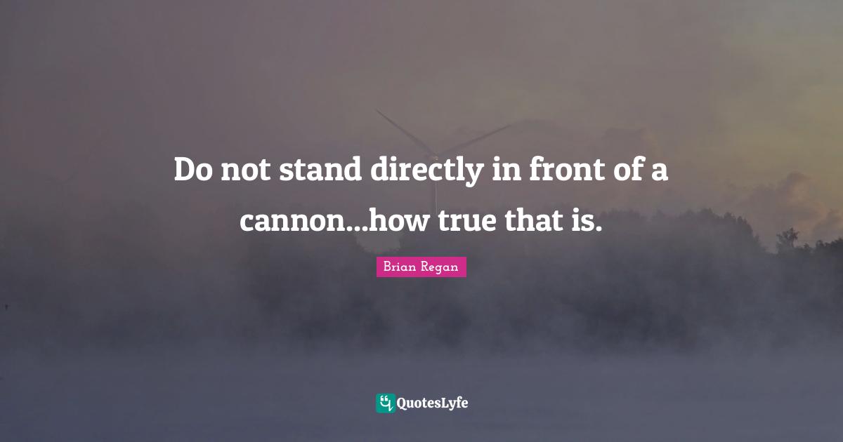 Do not stand directly in front of a cannon...how true that is.