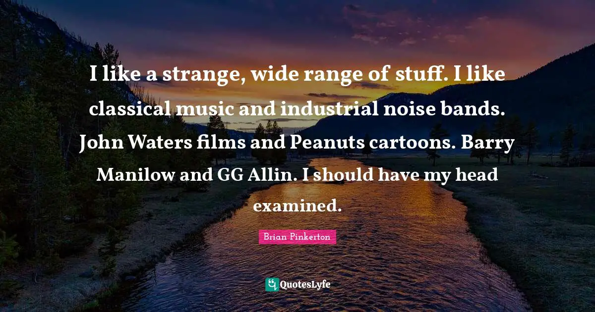 I like a strange, wide range of stuff. I like classical music and industrial noise bands. John Waters films and Peanuts cartoons. Barry Manilow and GG Allin. I should have my head examined.