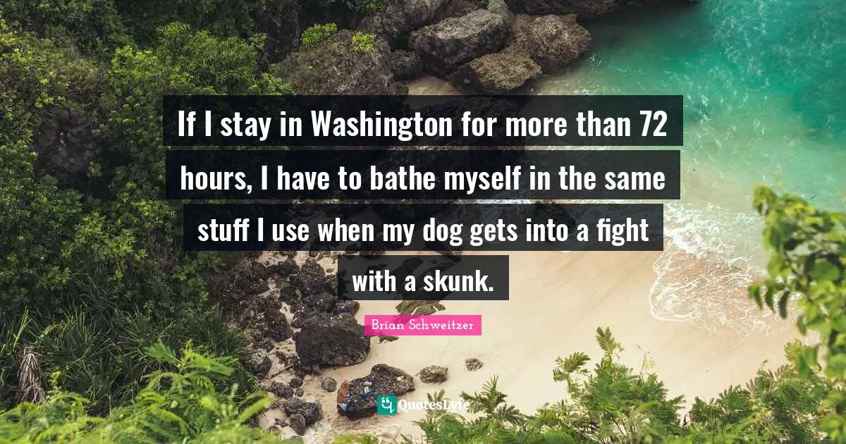 If I stay in Washington for more than 72 hours, I have to bathe myself in the same stuff I use when my dog gets into a fight with a skunk.