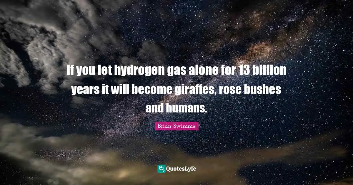 If you let hydrogen gas alone for 13 billion years it will become giraffes, rose bushes and humans.