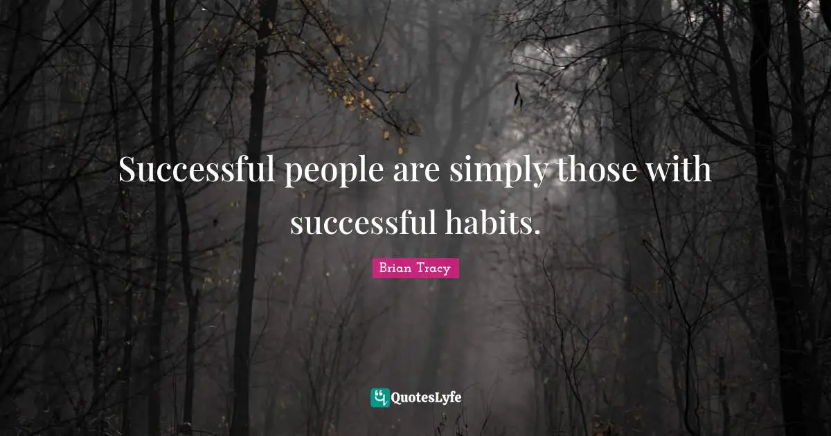 Successful People Quotes: "Successful people are simply those with successful habits."