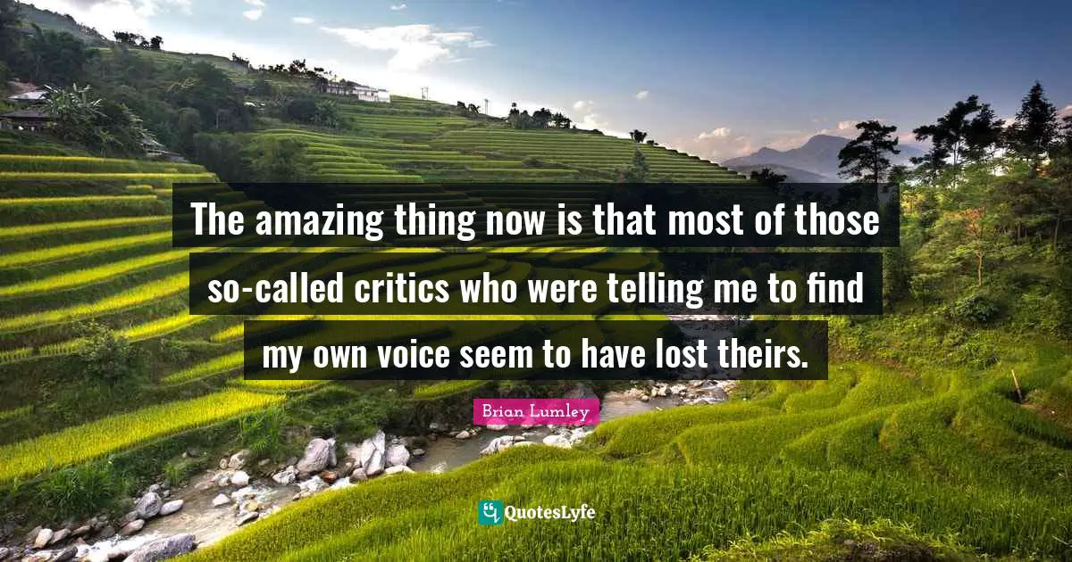 The amazing thing now is that most of those so-called critics who were telling me to find my own voice seem to have lost theirs.