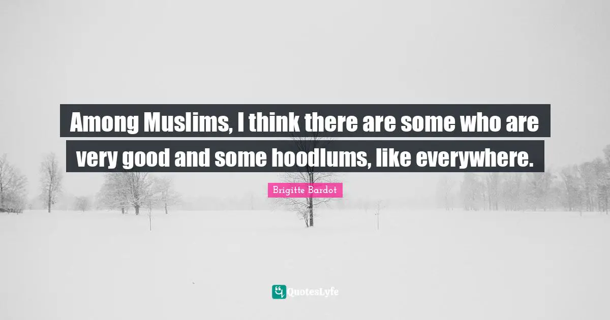 Among Muslims, I think there are some who are very good and some hoodlums, like everywhere.