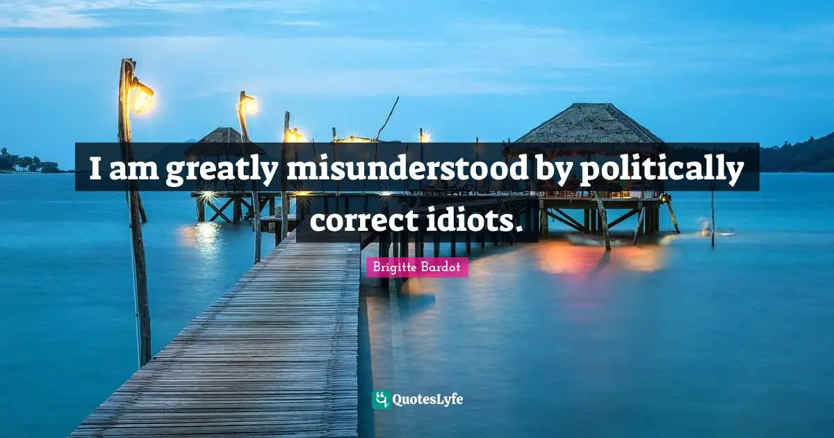 I am greatly misunderstood by politically correct idiots.