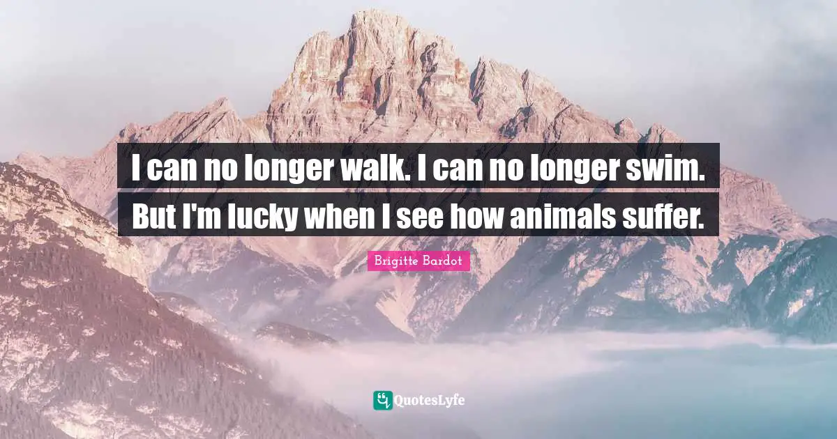 I can no longer walk. I can no longer swim. But I'm lucky when I see how animals suffer.
