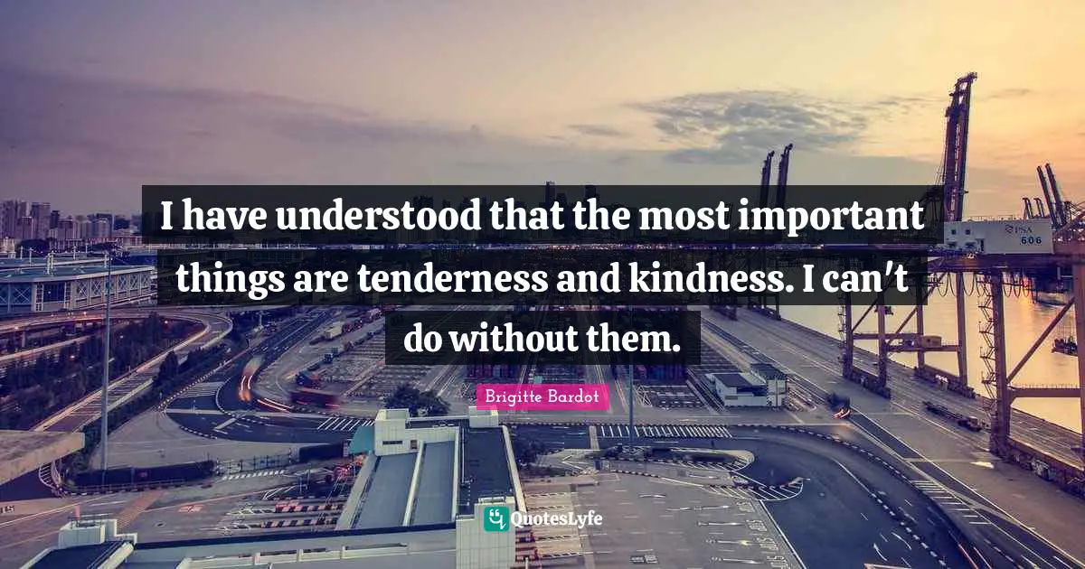 Tenderness Quotes: "I have understood that the most important things are tenderness and kindness. I can't do without them."
