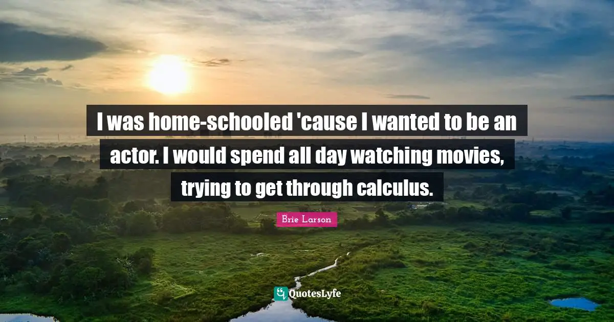 I was home-schooled 'cause I wanted to be an actor. I would spend all day watching movies, trying to get through calculus.