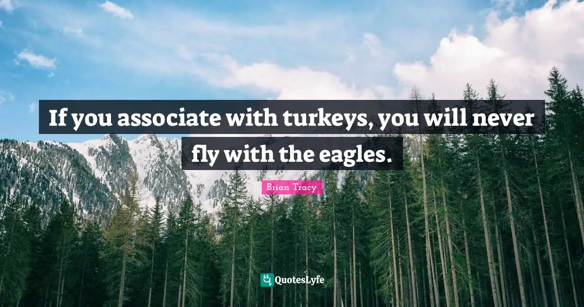 If you associate with turkeys, you will never fly with the eagles.