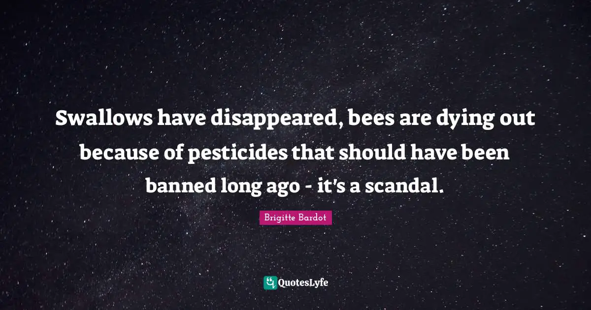 Bees Quotes: "Swallows have disappeared, bees are dying out because of pesticides that should have been banned long ago - it's a scandal."