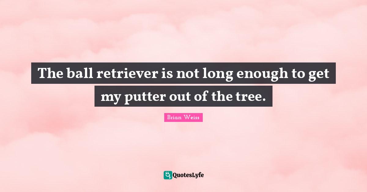 The ball retriever is not long enough to get my putter out of the tree.