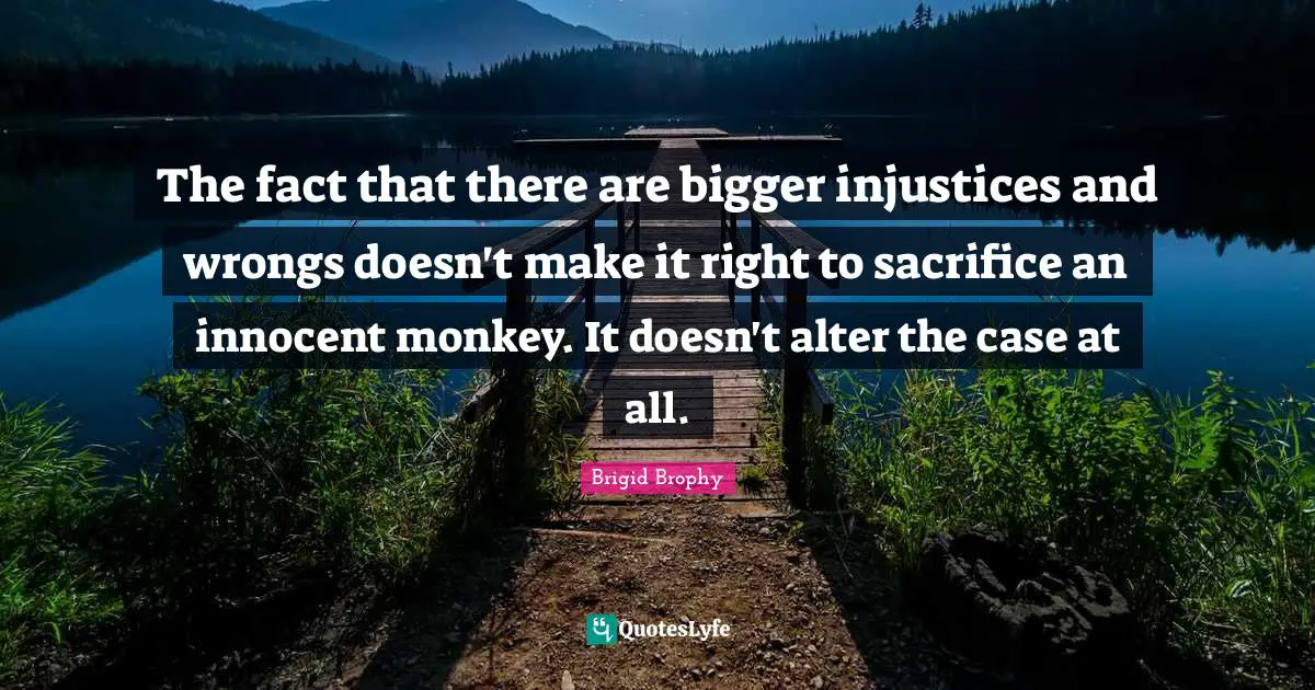 The fact that there are bigger injustices and wrongs doesn't make it right to sacrifice an innocent monkey. It doesn't alter the case at all.