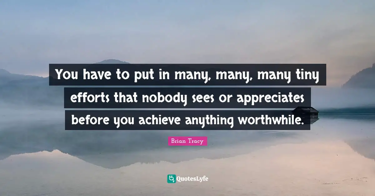 You have to put in many, many, many tiny efforts that nobody sees or appreciates before you achieve anything worthwhile.