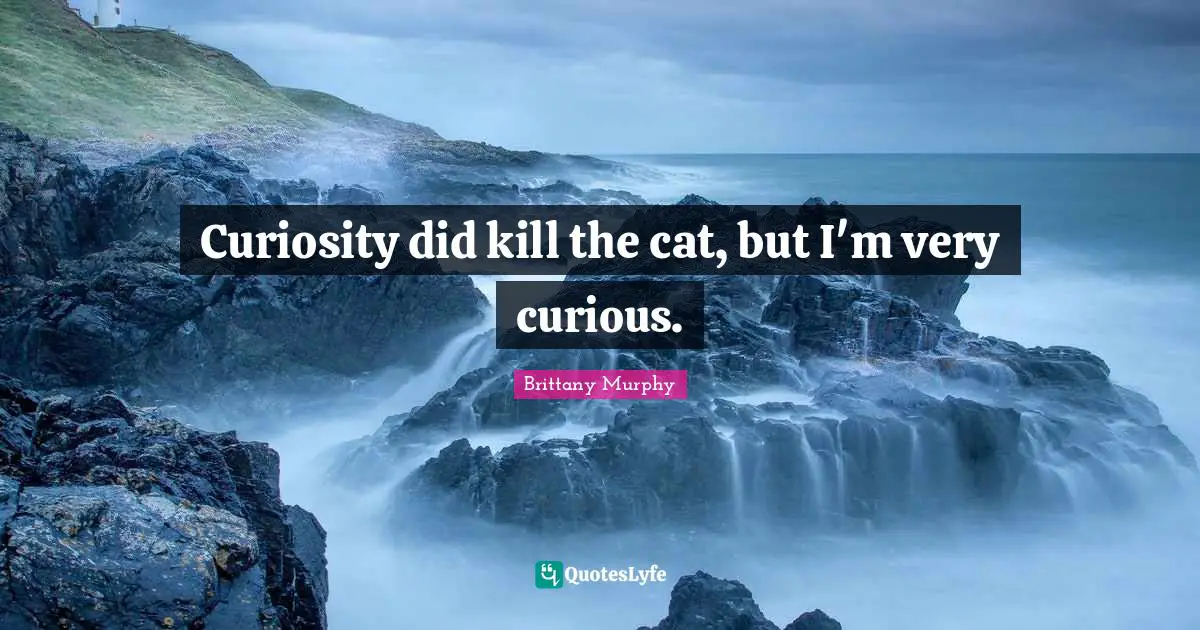 Curiosity did kill the cat, but I'm very curious.