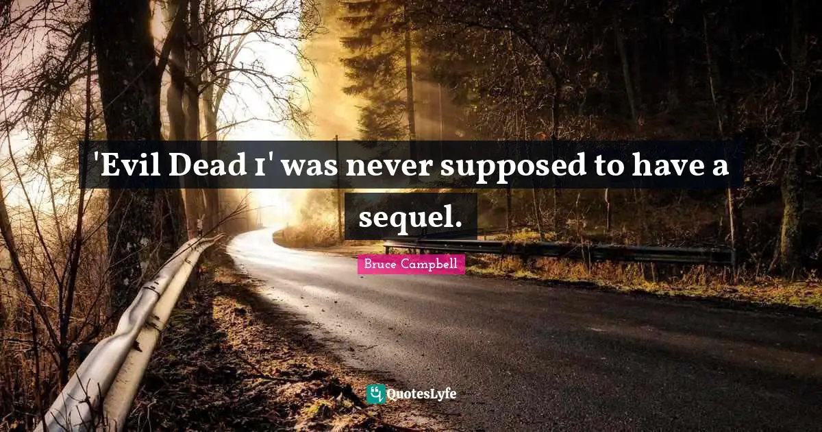 'Evil Dead 1' was never supposed to have a sequel.