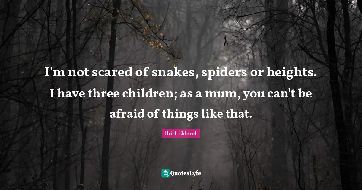 I'm not scared of snakes, spiders or heights. I have three children; as a mum, you can't be afraid of things like that.