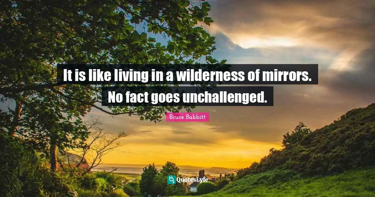 It is like living in a wilderness of mirrors. No fact goes unchallenged.