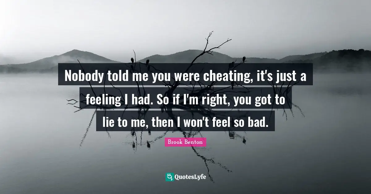 Nobody told me you were cheating, it's just a feeling I had. So if I'm right, you got to lie to me, then I won't feel so bad.