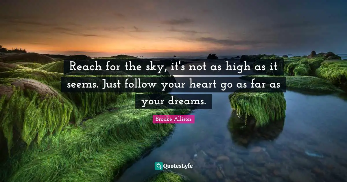 Reach for the sky, it's not as high as it seems. Just follow your heart go as far as your dreams.