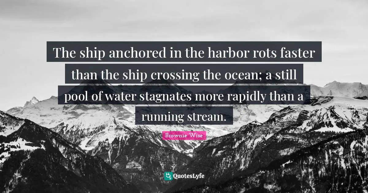 Brownie Wise Quotes: "The ship anchored in the harbor rots faster than the ship crossing the ocean; a still pool of water stagnates more rapidly than a running stream."