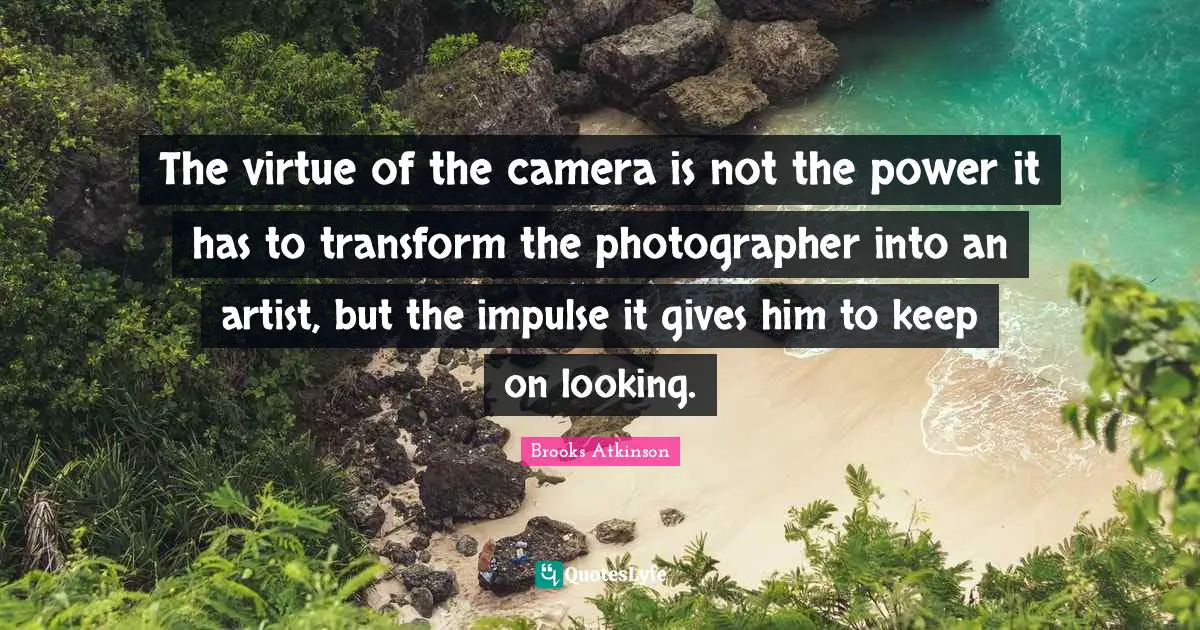 The virtue of the camera is not the power it has to transform the photographer into an artist, but the impulse it gives him to keep on looking.