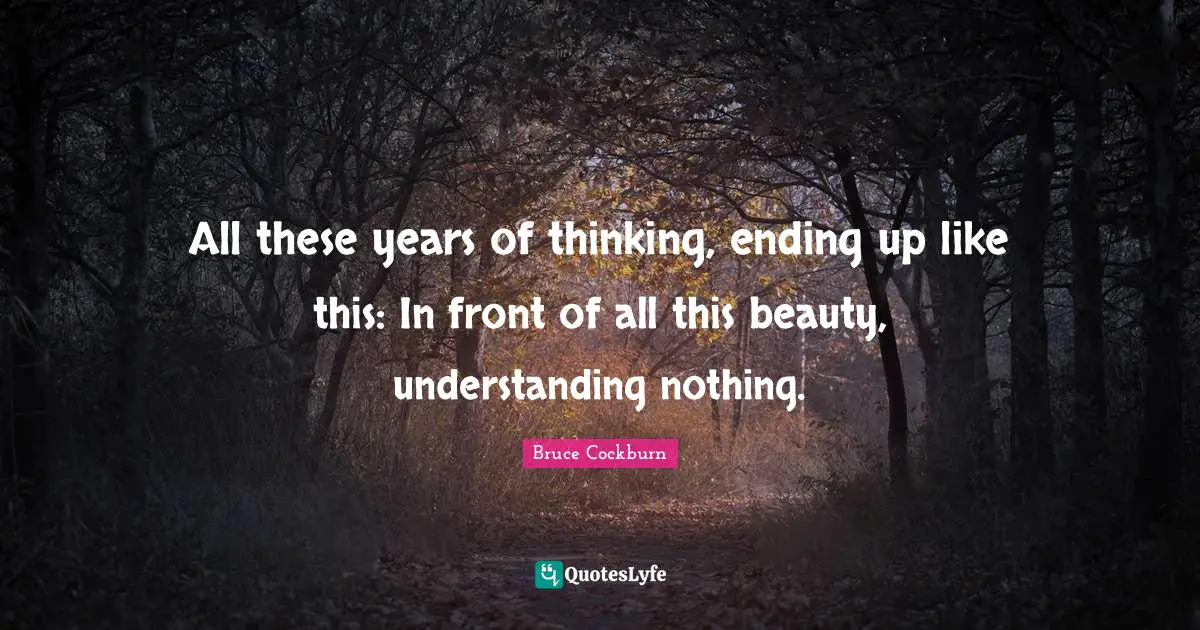 All these years of thinking, ending up like this: In front of all this beauty, understanding nothing.