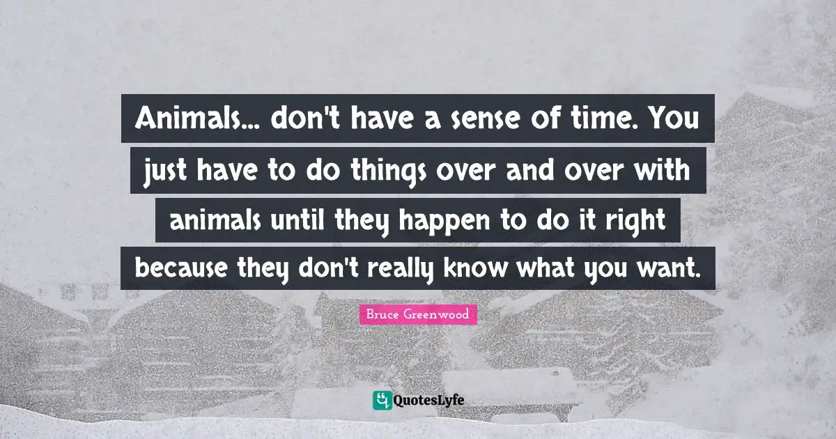 Animals... don't have a sense of time. You just have to do things over and over with animals until they happen to do it right because they don't really know what you want.
