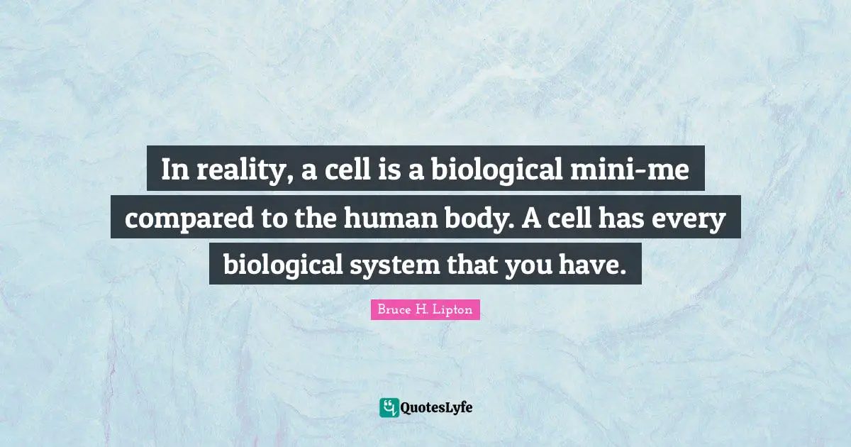 In reality, a cell is a biological mini-me compared to the human body. A cell has every biological system that you have.