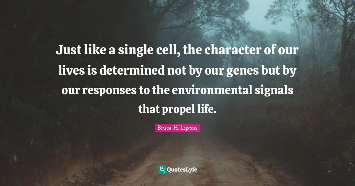 Bruce H. Lipton Quotes: Just like a single cell, the character of our lives is determined not by our genes but by our responses to the environmental signals that propel life.